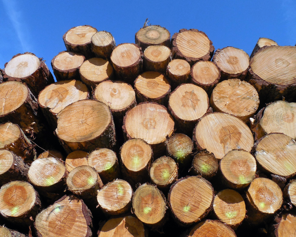 Untitled design (56)