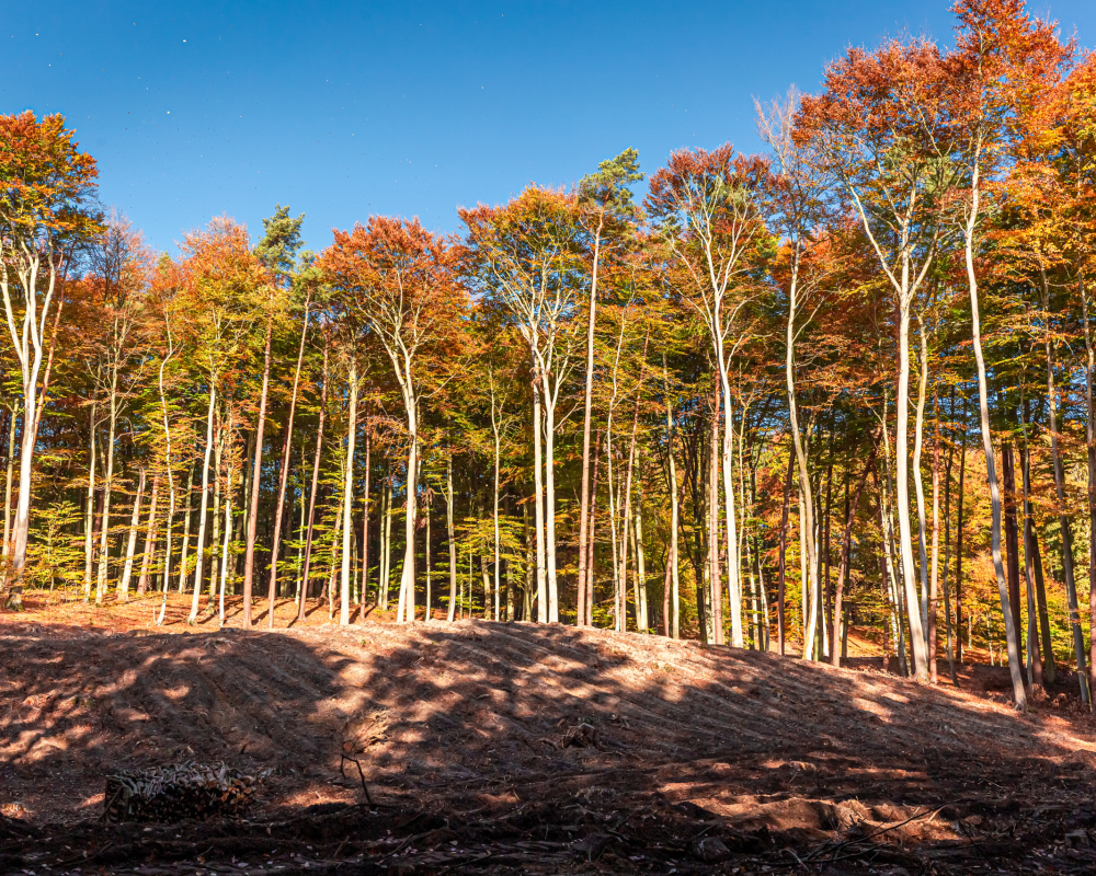 Untitled design (58)